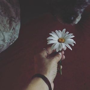 Meet your Posher, Christa